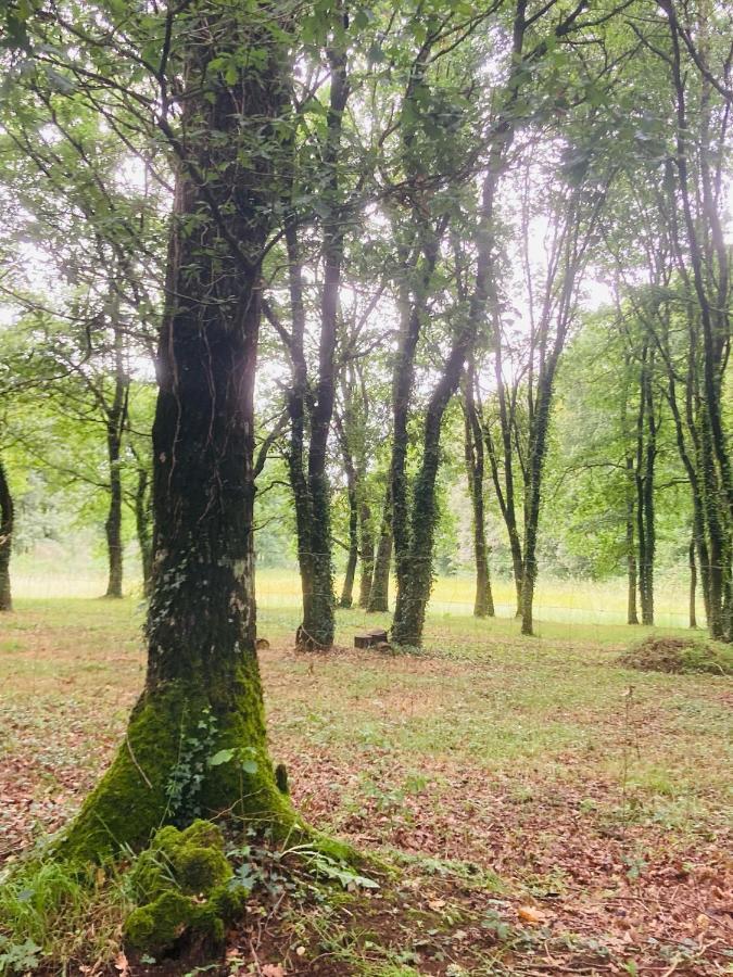 Camping Vila De Саррія Екстер'єр фото