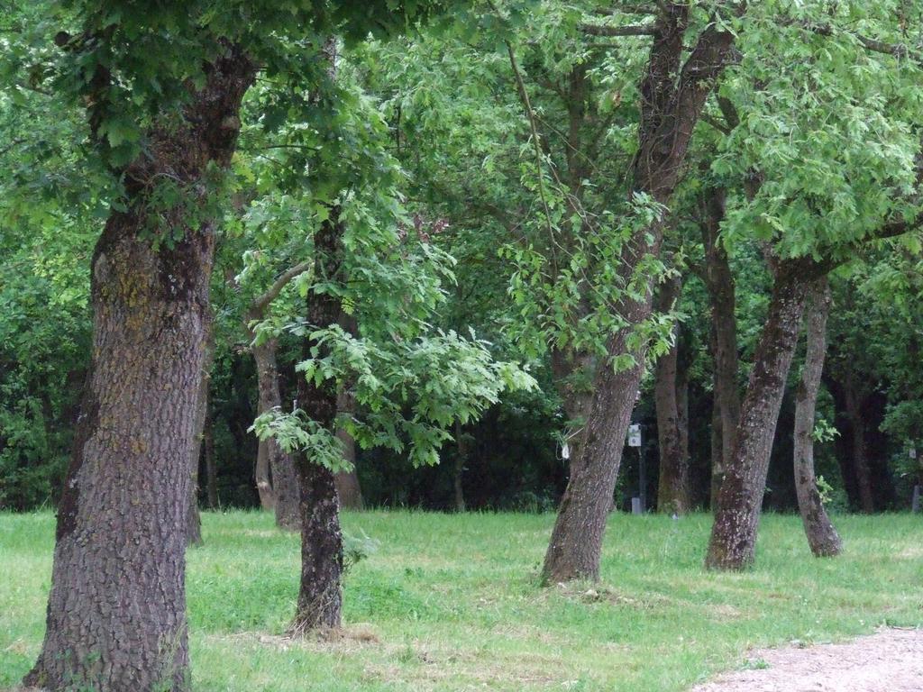 Camping Vila De Саррія Екстер'єр фото